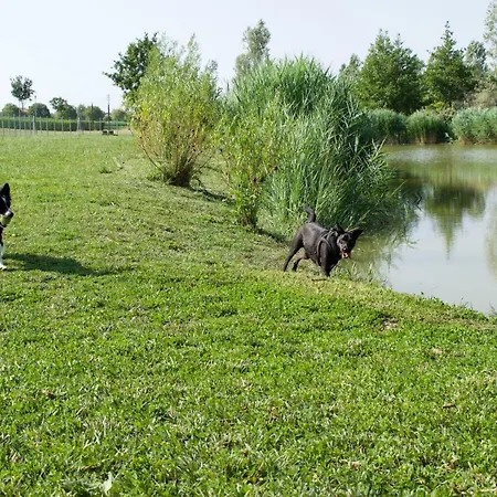 Apartamento App4rent Family 3 Camere, 2 Bagni, Wi-fi, Animali Ammessi Jesolo